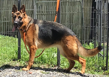 Ursula Vom Kron-Muller Haus 