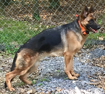 Vivika Vom Haus Juris